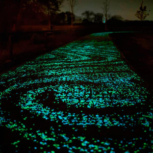 EDEN GARDEN GLOW-IN-THE-DARK PEBBLES