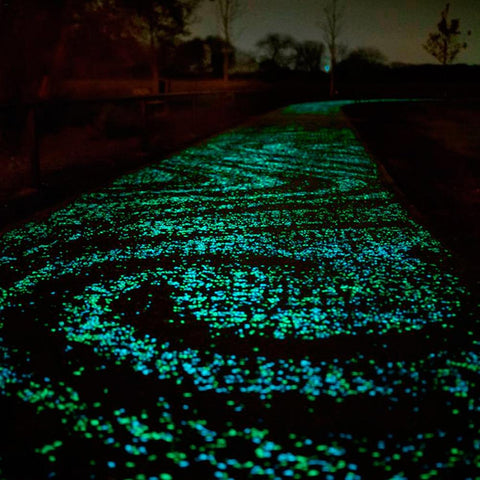 Image of EDEN GARDEN GLOW-IN-THE-DARK PEBBLES