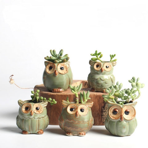 Image of Cute Owl Mini Ceramic Flower Pots Set of 5pcs