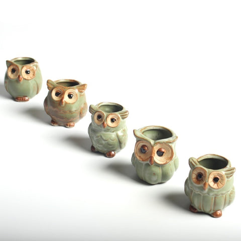 Image of Cute Owl Mini Ceramic Flower Pots Set of 5pcs