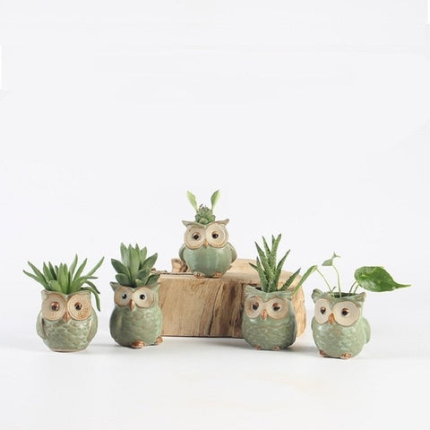 Image of Cute Owl Mini Ceramic Flower Pots Set of 5pcs