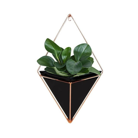 Image of Acrylic Flower Pot Iron Plant Holder Hanging Planter Geometric Vase Wall Decor